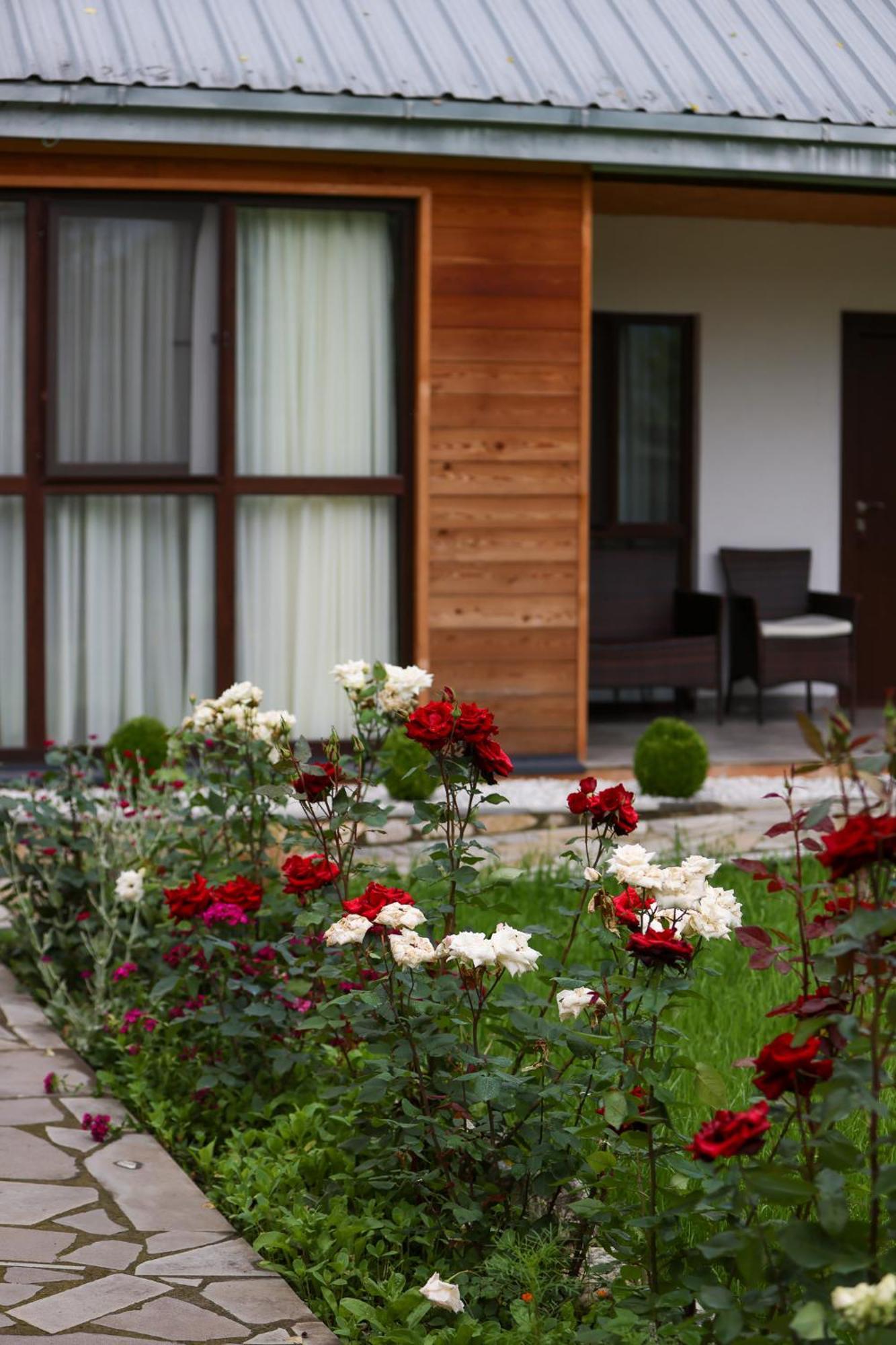 Alvani Inn K'vemo Alvani エクステリア 写真