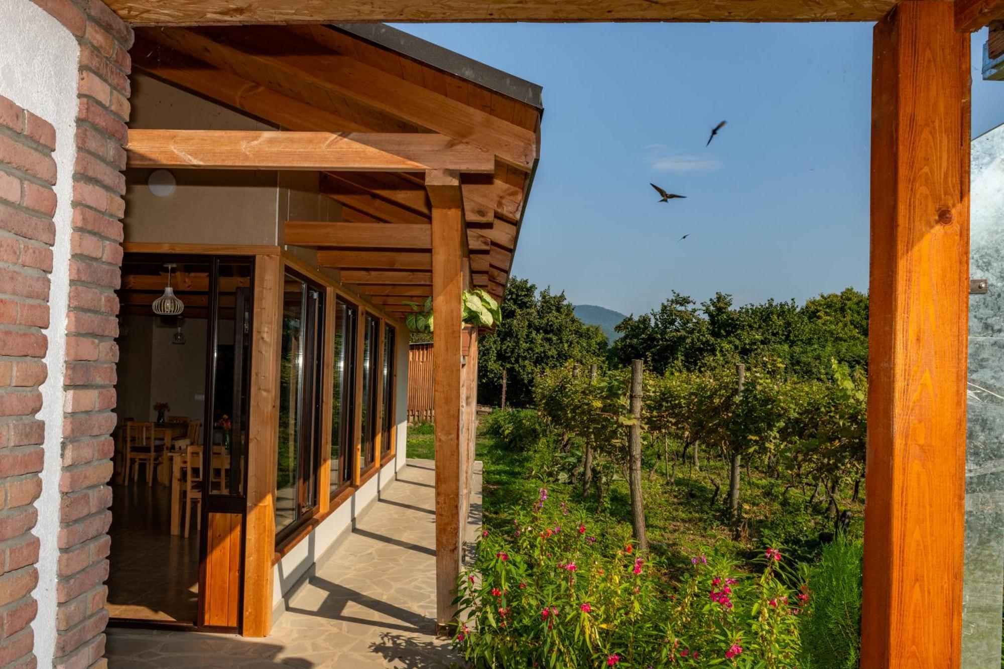 Alvani Inn K'vemo Alvani エクステリア 写真